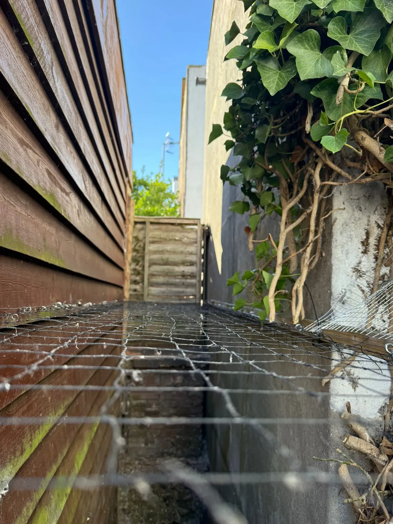 A close-up of a wire mesh barrier installed at ground level in a narrow passage between a wooden fence and a wall, used for pest proofing.