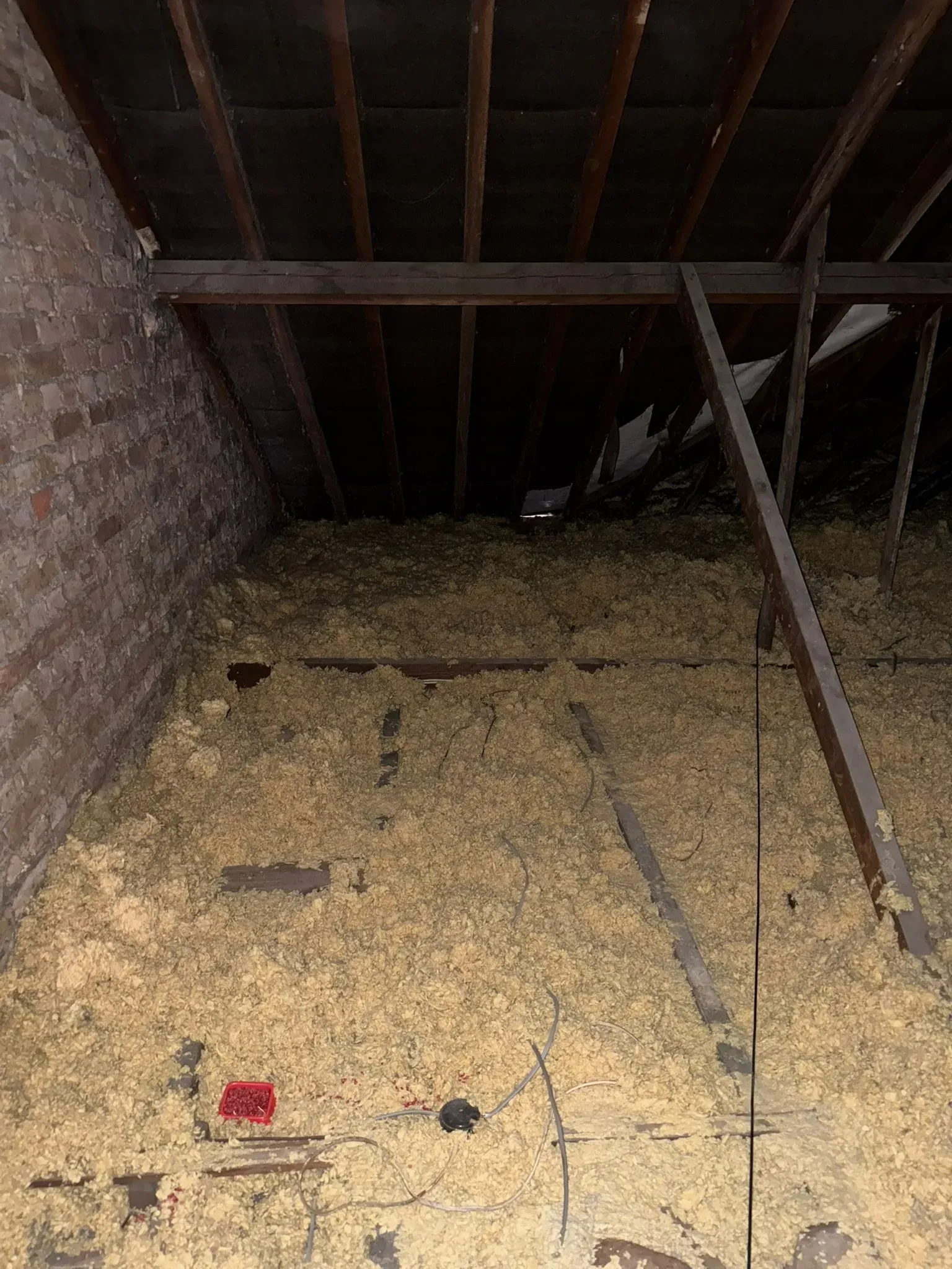 An attic filled with loose insulation, showing a red rodent bait station and disturbed areas, suggesting pest activity and the need for loft sanitisation or rodent control in a Sussex property.