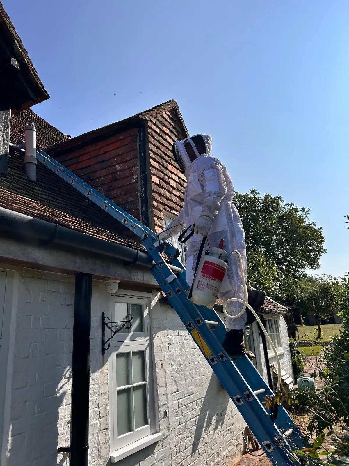 Pest control technician in a white suit on a ladder treating a wasp nest near a house roof.